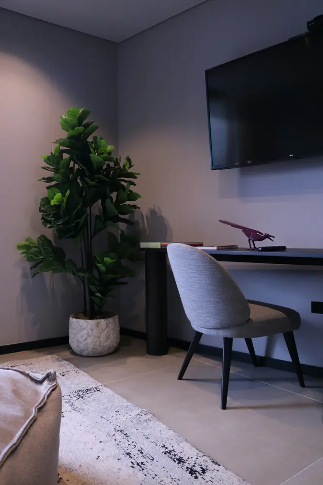 a living room with a plant and a television