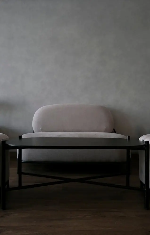 modern living room with sofa and coffee table