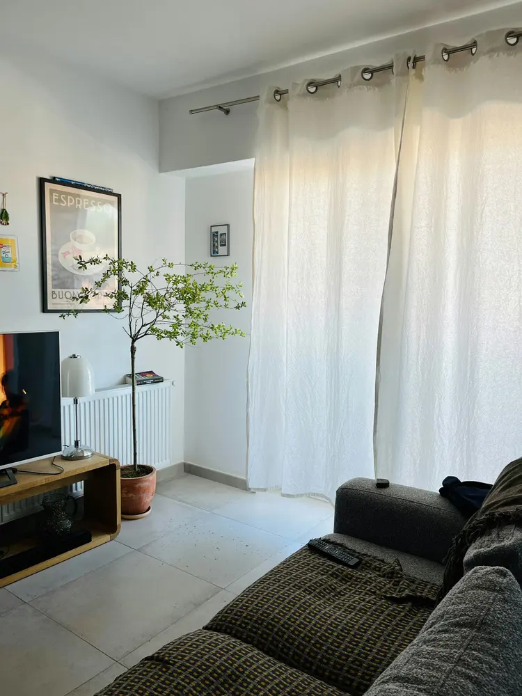 cozy living room with sofa plant and television