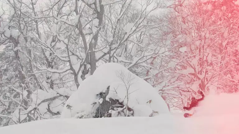 A snowboarder falls into deep powder snow amid heavily snow-laden trees in a winter forest, with a red light effect.