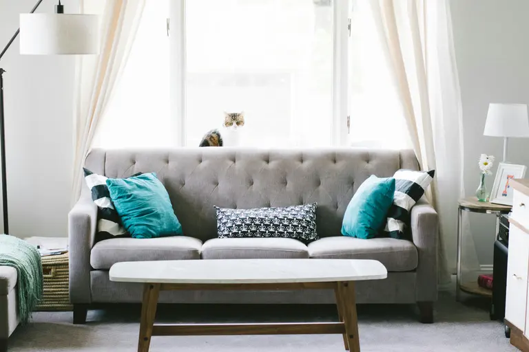 A gray tufted sofa with teal and patterned pillows in front of a bright window, with a cat peeking over the backrest.